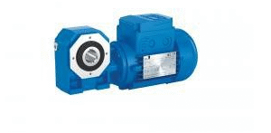 Worm Gearmotor – Standard Fit